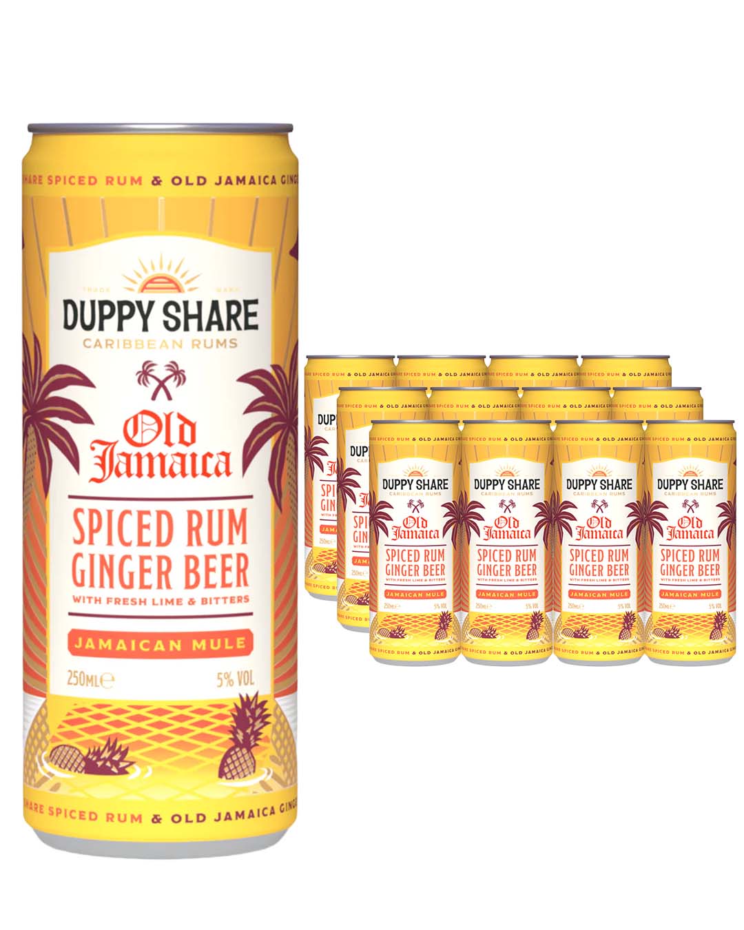 Duppy Share Old Jamaica Spiced Rum Ginger Beer Multipack, 12 x 250 ml Ready To Drink