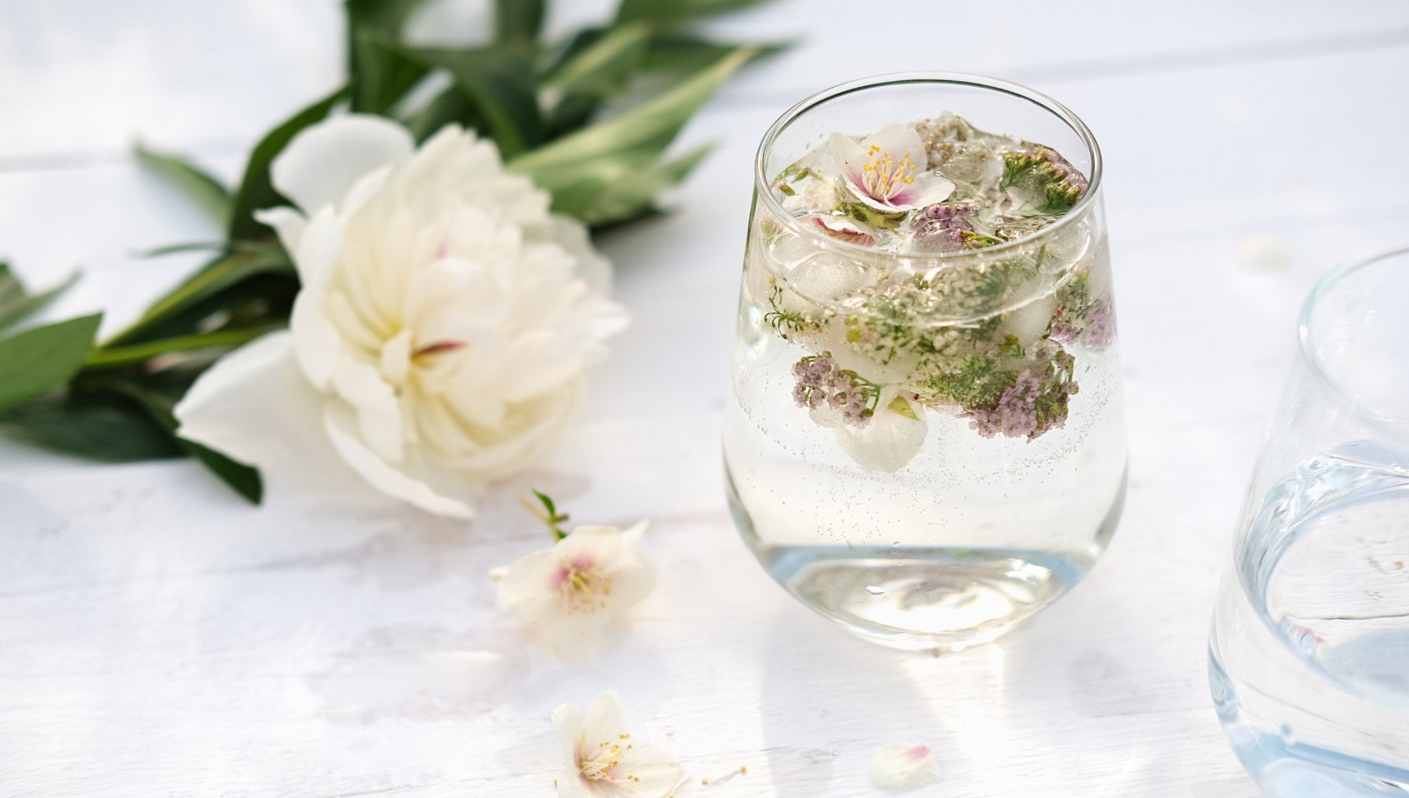 Milk-Punch-Clarified-Cocktail-Recipe The Bottle Club